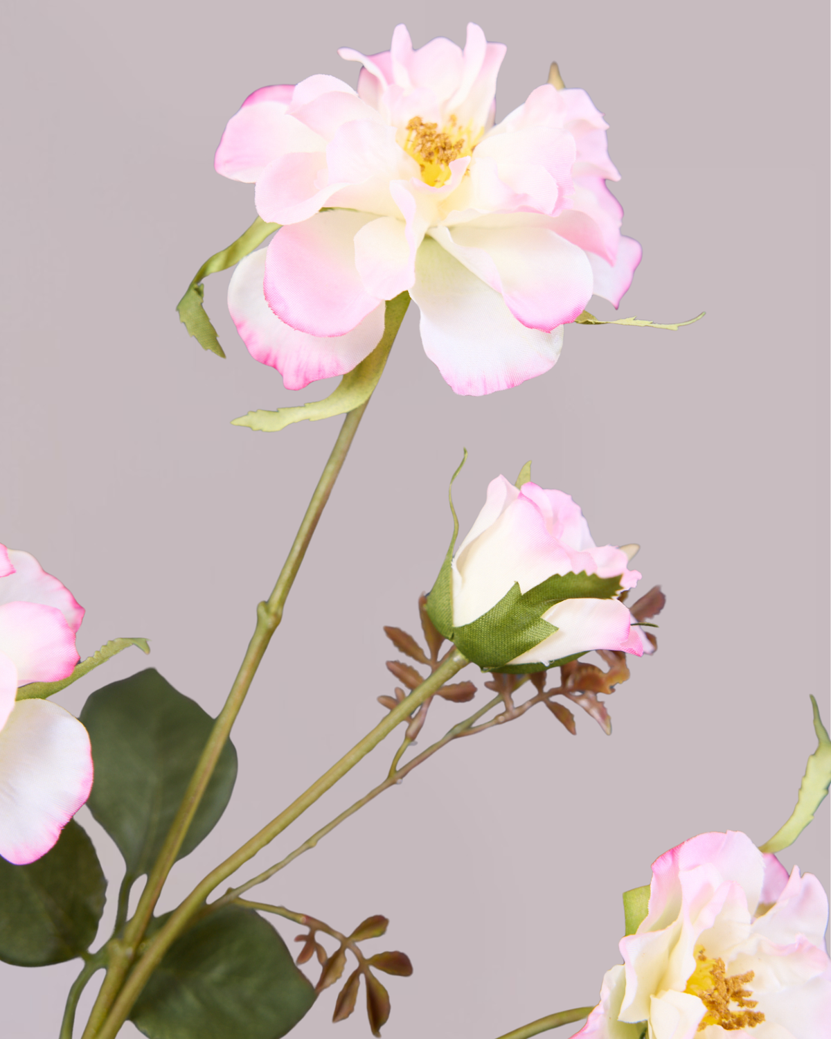 SILK-KA 5 HEAD ROSE IN SOFT PINK 88CM