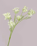 SILK-KA QUEEN ANNES LACE IN WHITE 78CM