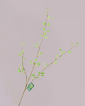 SILK-KA PITTOSPORUM 84CM