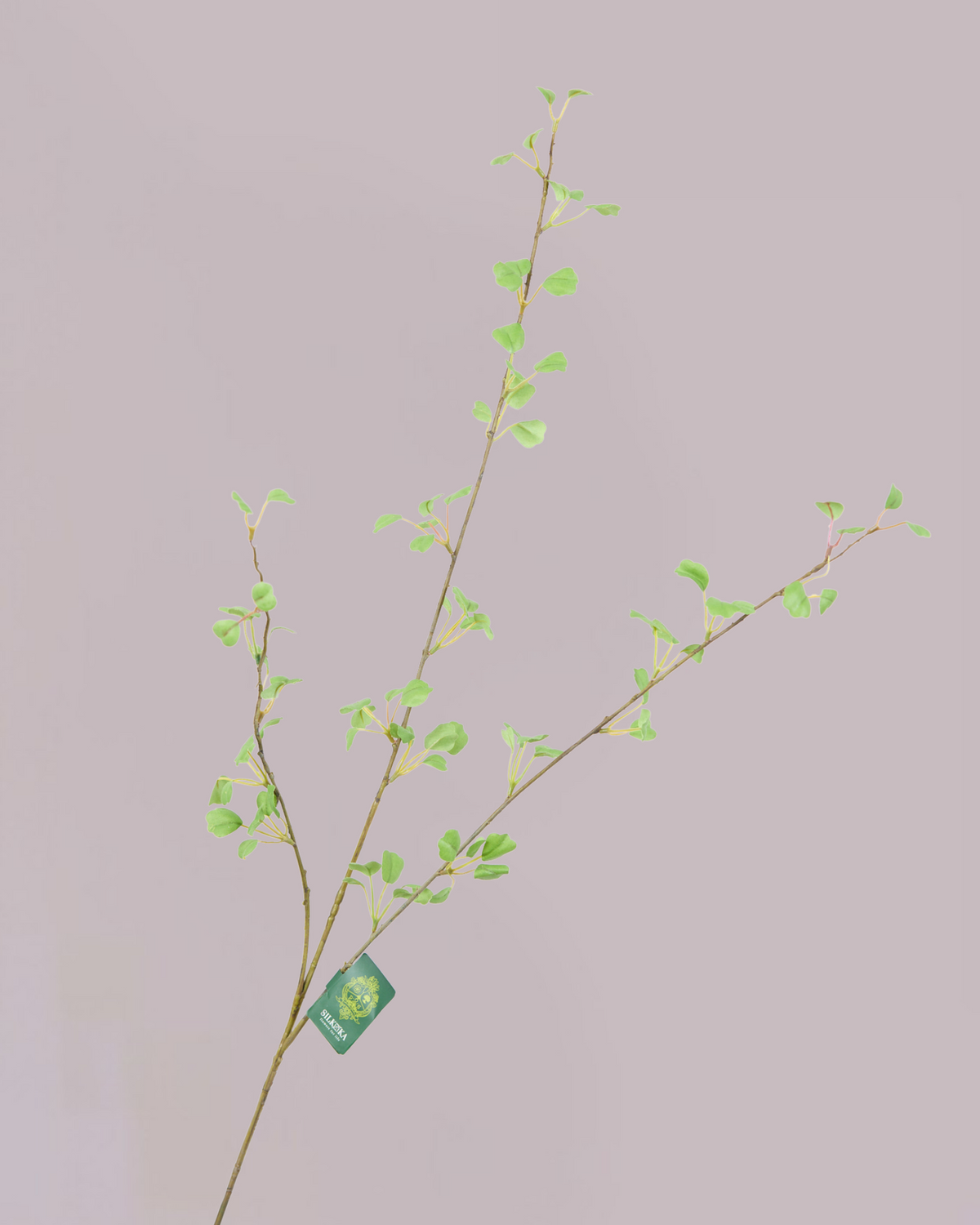 SILK-KA PITTOSPORUM 84CM
