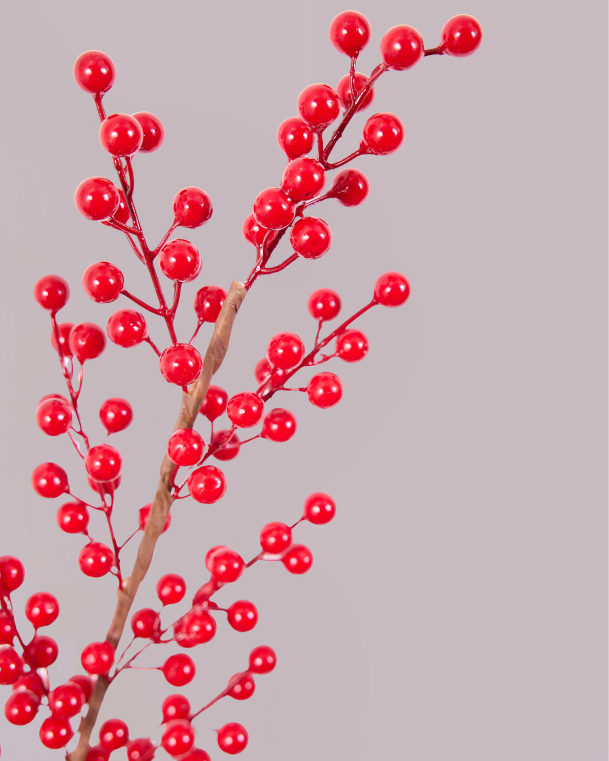FESTIVE RED BERRY SPRAY