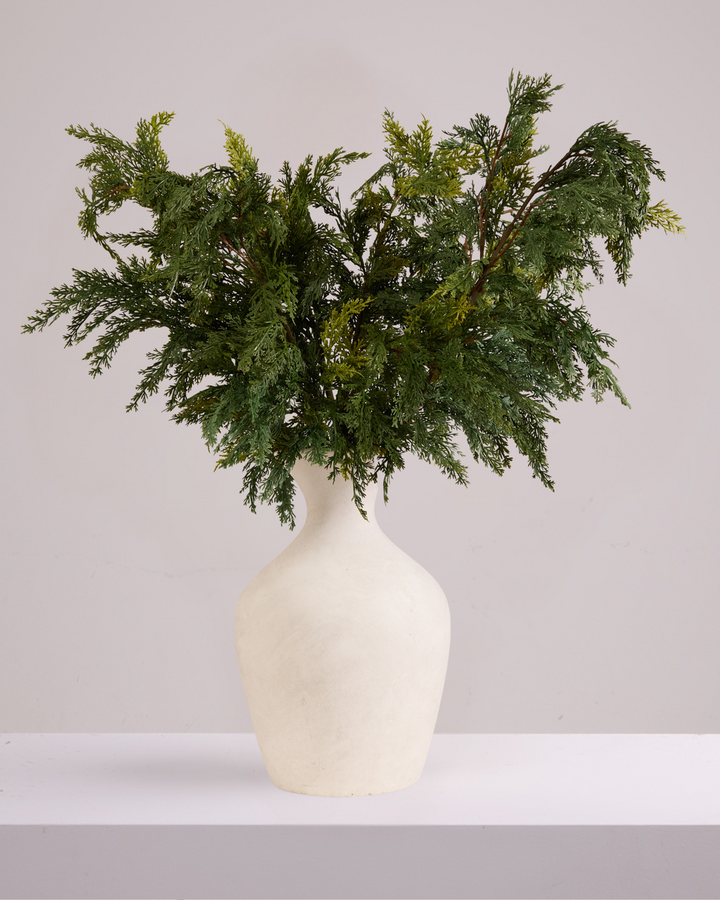 EVERGREEN FERN