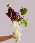 MULBERRY