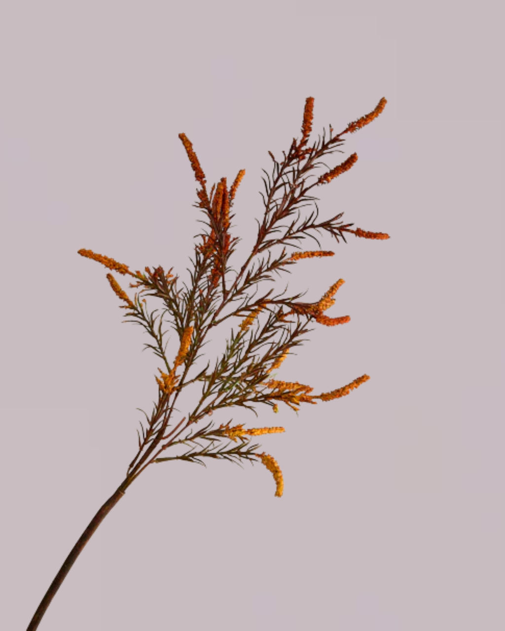 ORANGE AUTUMNAL SPRAY