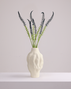 ORNAMENTAL GRASS