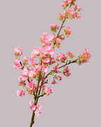 PINK BLOSSOM BRANCH