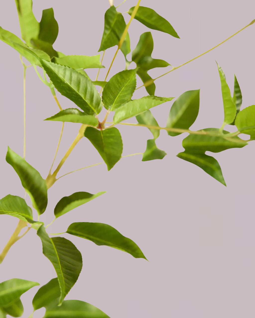 POINTED LEAF BRANCH 95CM