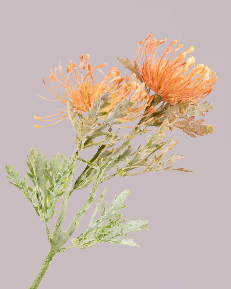 PROTEA SPRAY IN CHAMPAGNE