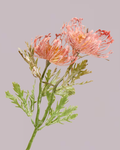 PROTEA SPRAY IN DUSTY PINK
