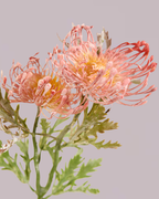 PROTEA SPRAY IN DUSTY PINK