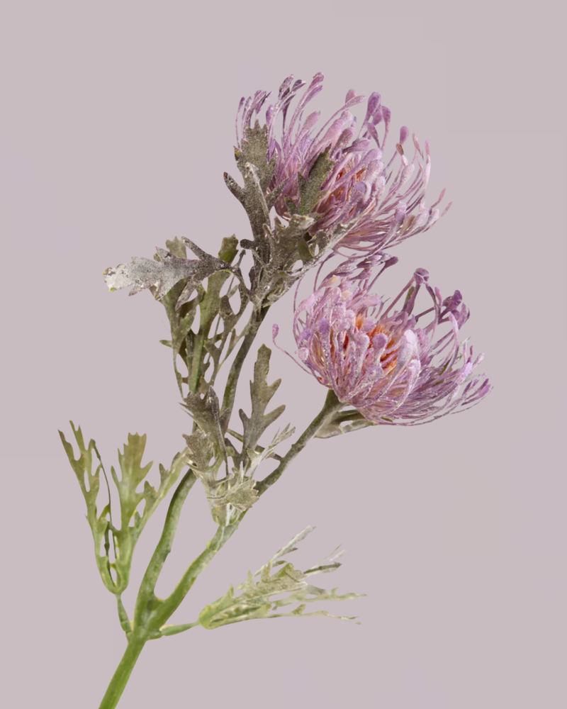 PROTEA SPRAY IN ULTRA VIOLET