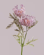 PROTEA SPRAY IN ULTRA VIOLET