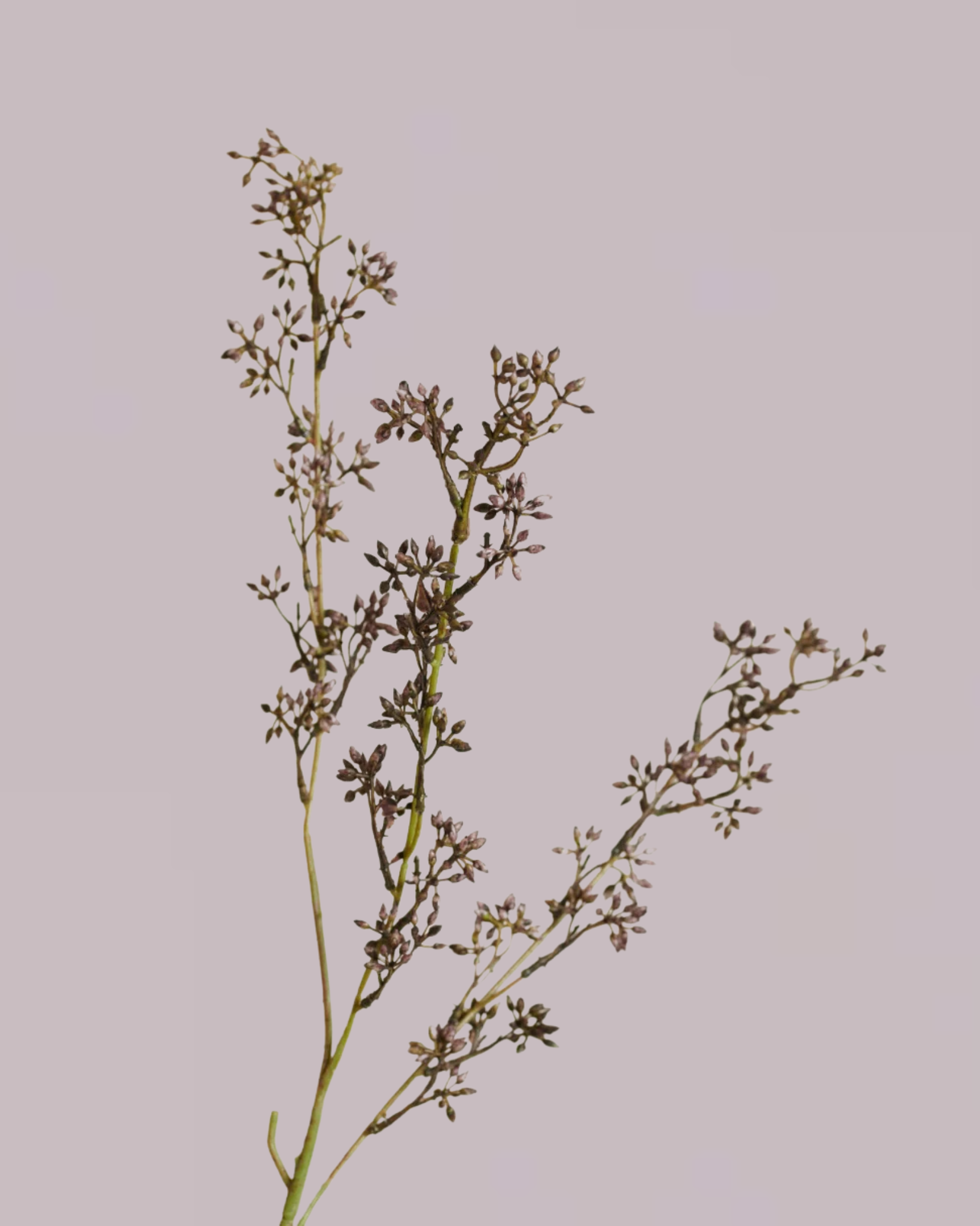 RUSTIC SPRAY BURGUNDY