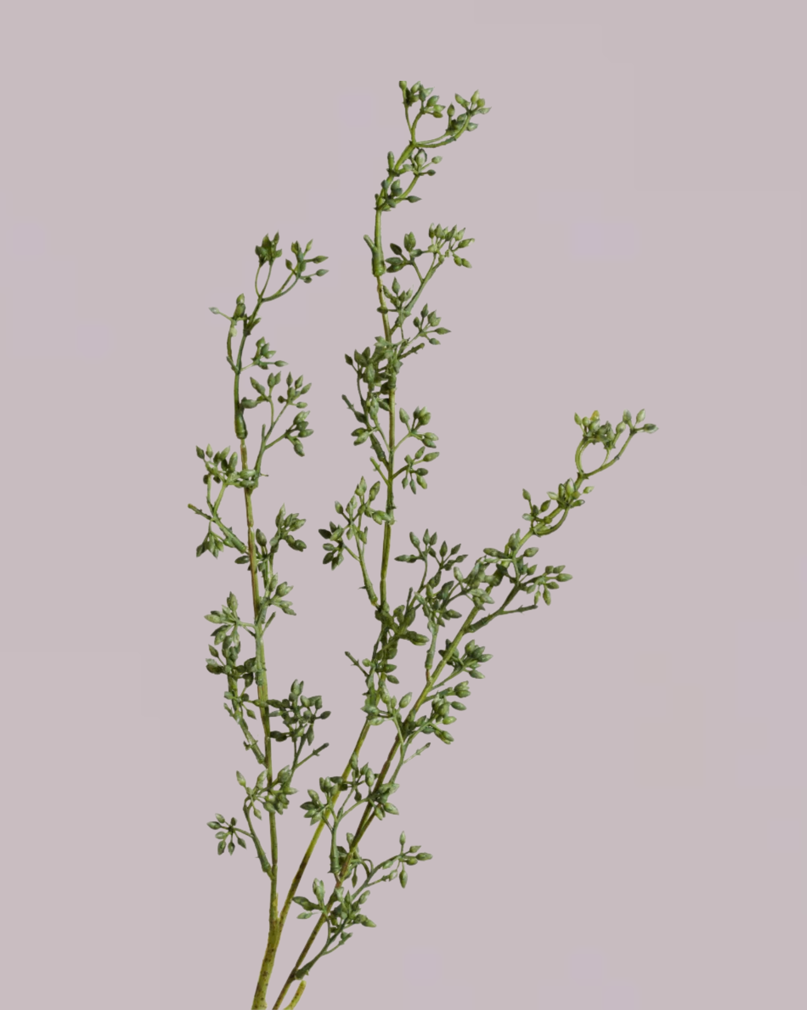 RUSTIC SPRAY GREEN