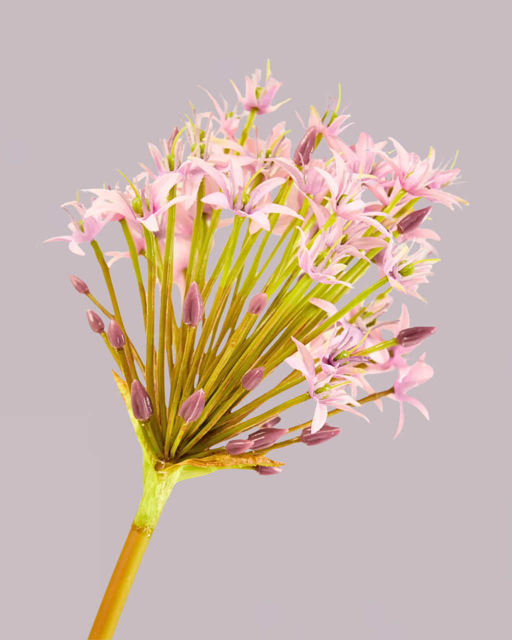 SILK-KA AGAPANTHUS IN PURPLE