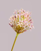 SILK-KA AGAPANTHUS IN PURPLE