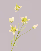 SILK-KA GREEN AND PINK PROTEA SPRAY 100CM