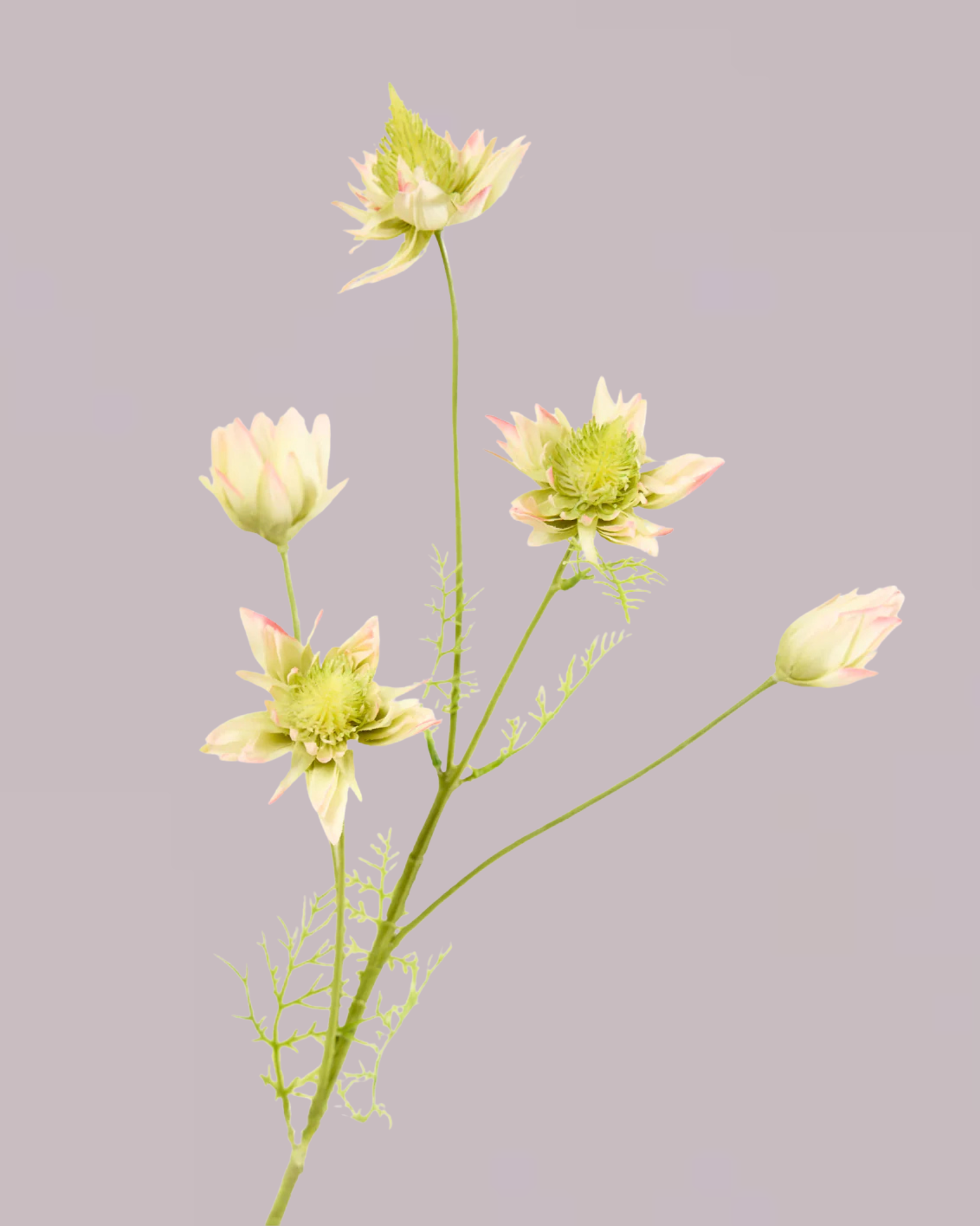 SILK-KA GREEN AND PINK PROTEA SPRAY 100CM
