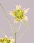 SILK-KA GREEN AND PINK PROTEA SPRAY 100CM