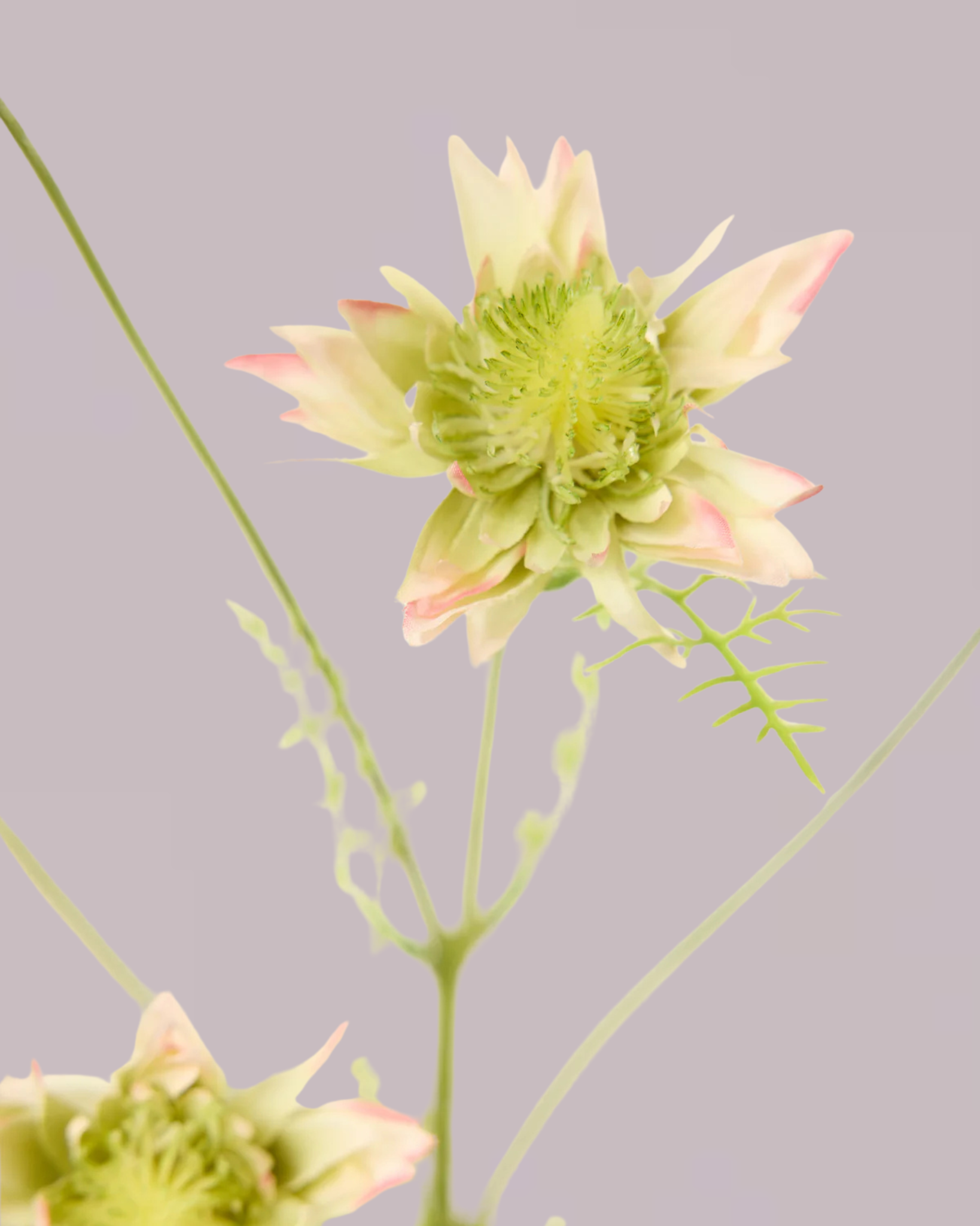 SILK-KA GREEN AND PINK PROTEA SPRAY 100CM
