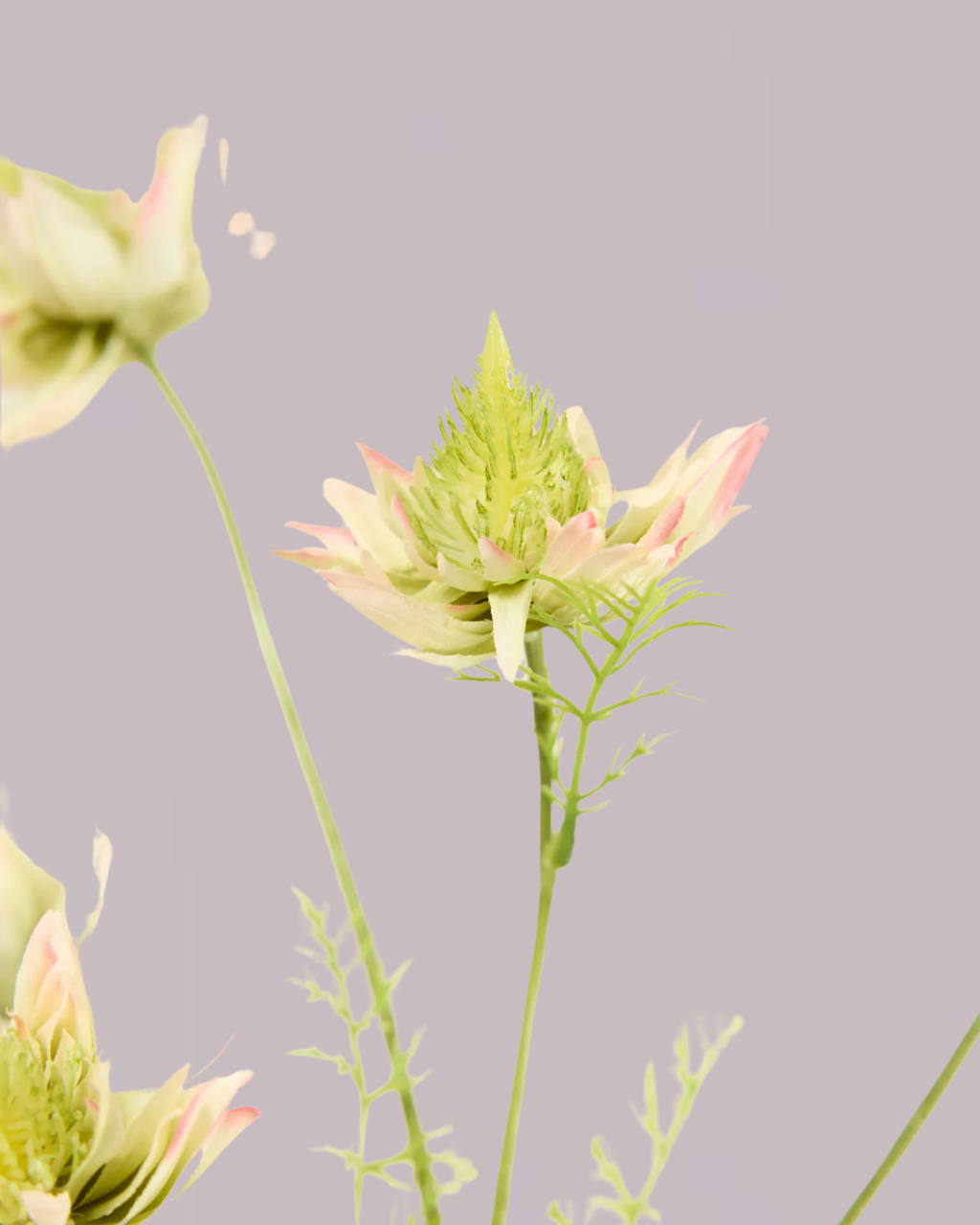 SILK-KA GREEN AND PINK PROTEA SPRAY 100CM
