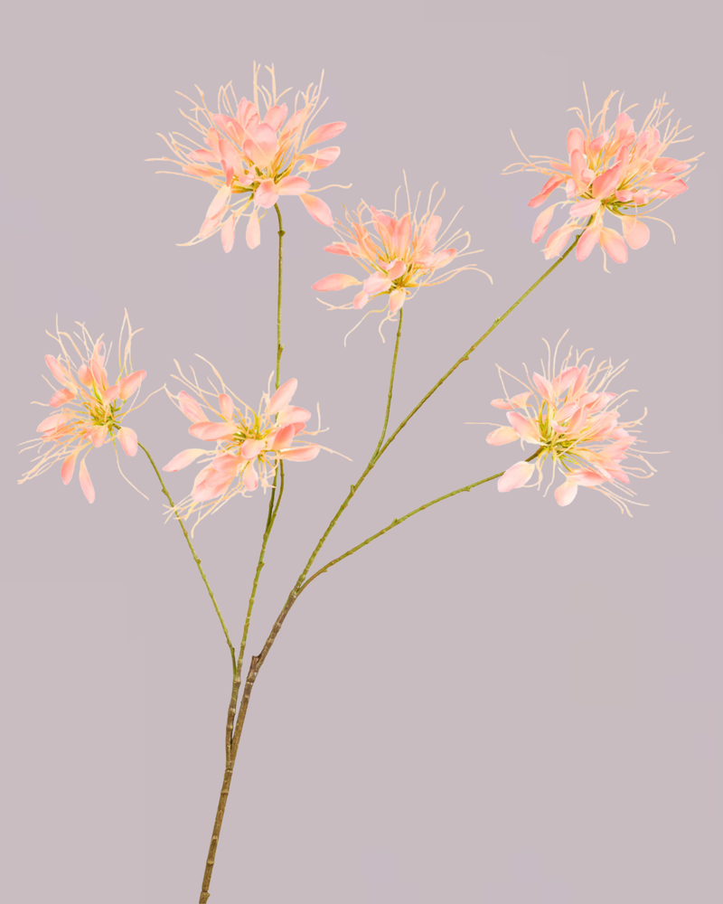 SILK-KA HONEYSUCKLE PINK 118CM