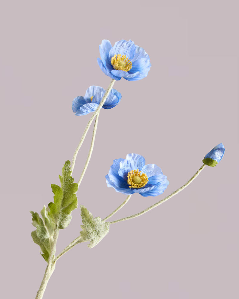 SILK POPPY IN DEEP BLUE