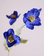 SILK POPPY IN DARK BLUE