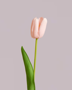 REAL TOUCH TULIPS PINK