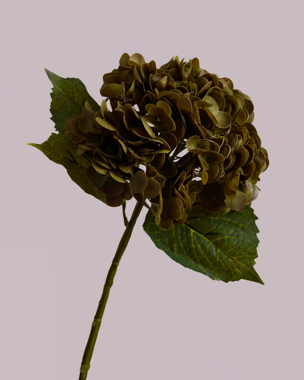 HYDRANGEA IN DARK GREEN