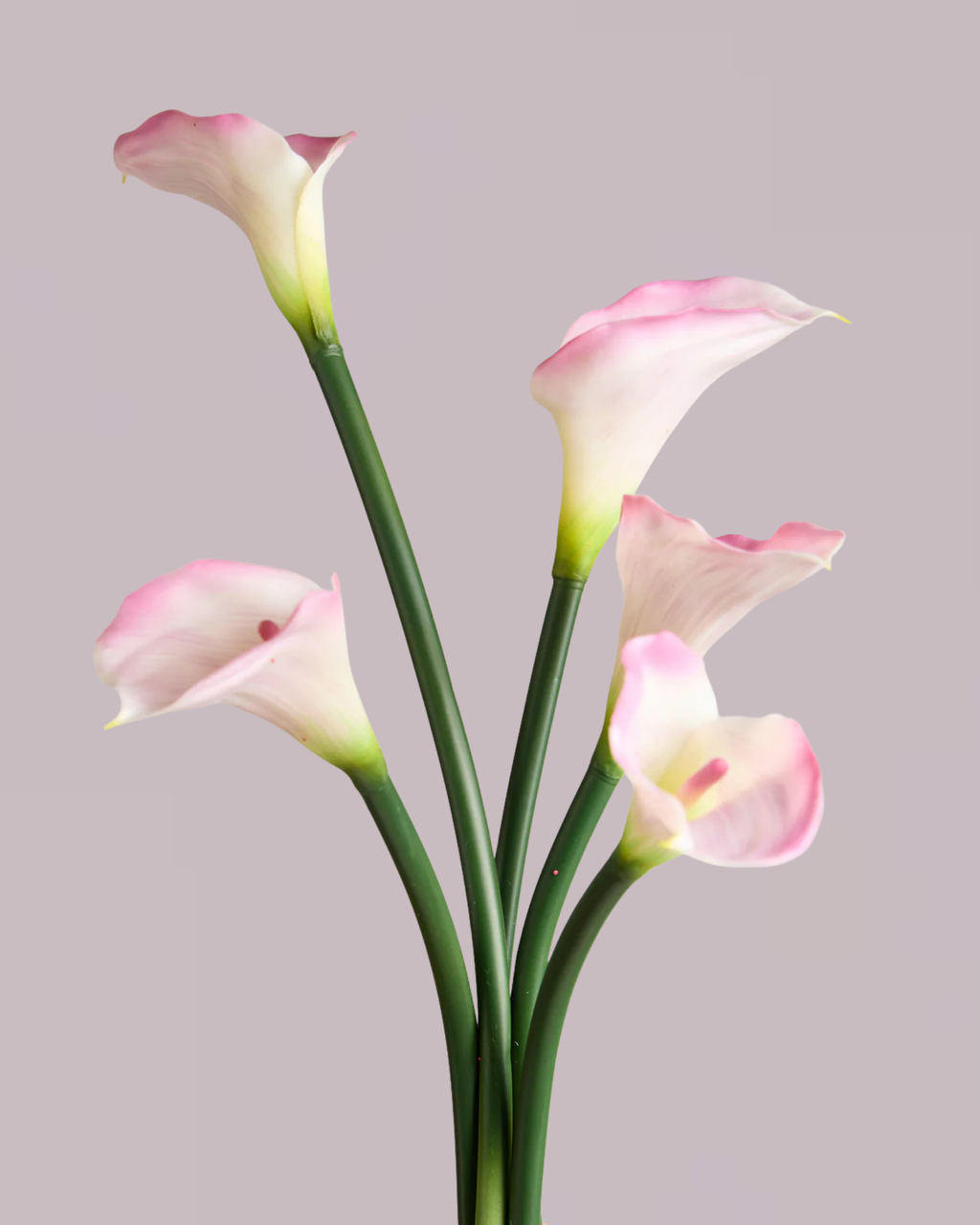 CALLA LILY IN DUSTY PINK (EXTRA LARGE)