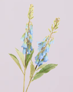 FOXGLOVE IN BLUE