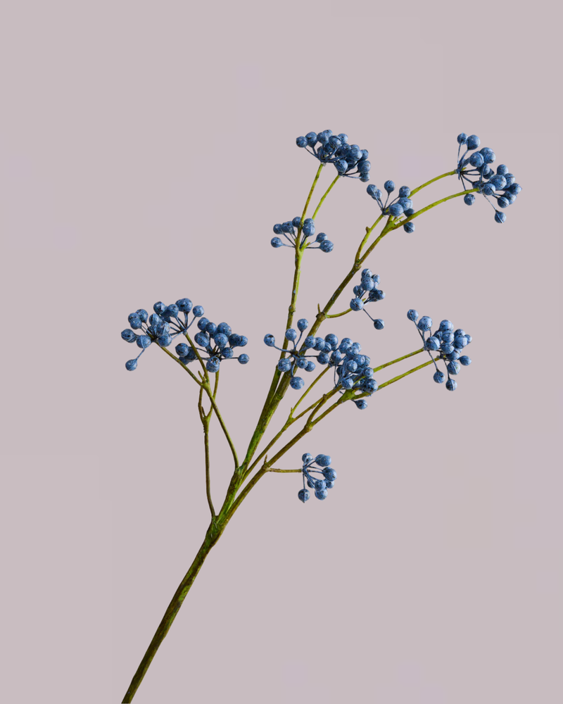 BERRY SPRAY IN BLUE