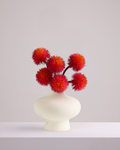 ALLIUM TRIO IN FIERY ORANGE