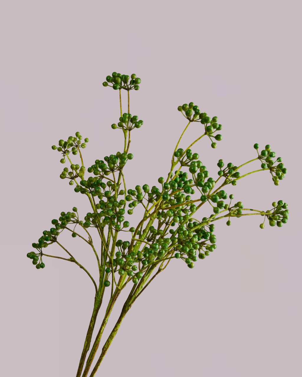 BERRY SPRAY IN GREEN