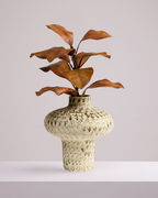 MAGNOLIA BRANCH IN GOLDEN BROWN