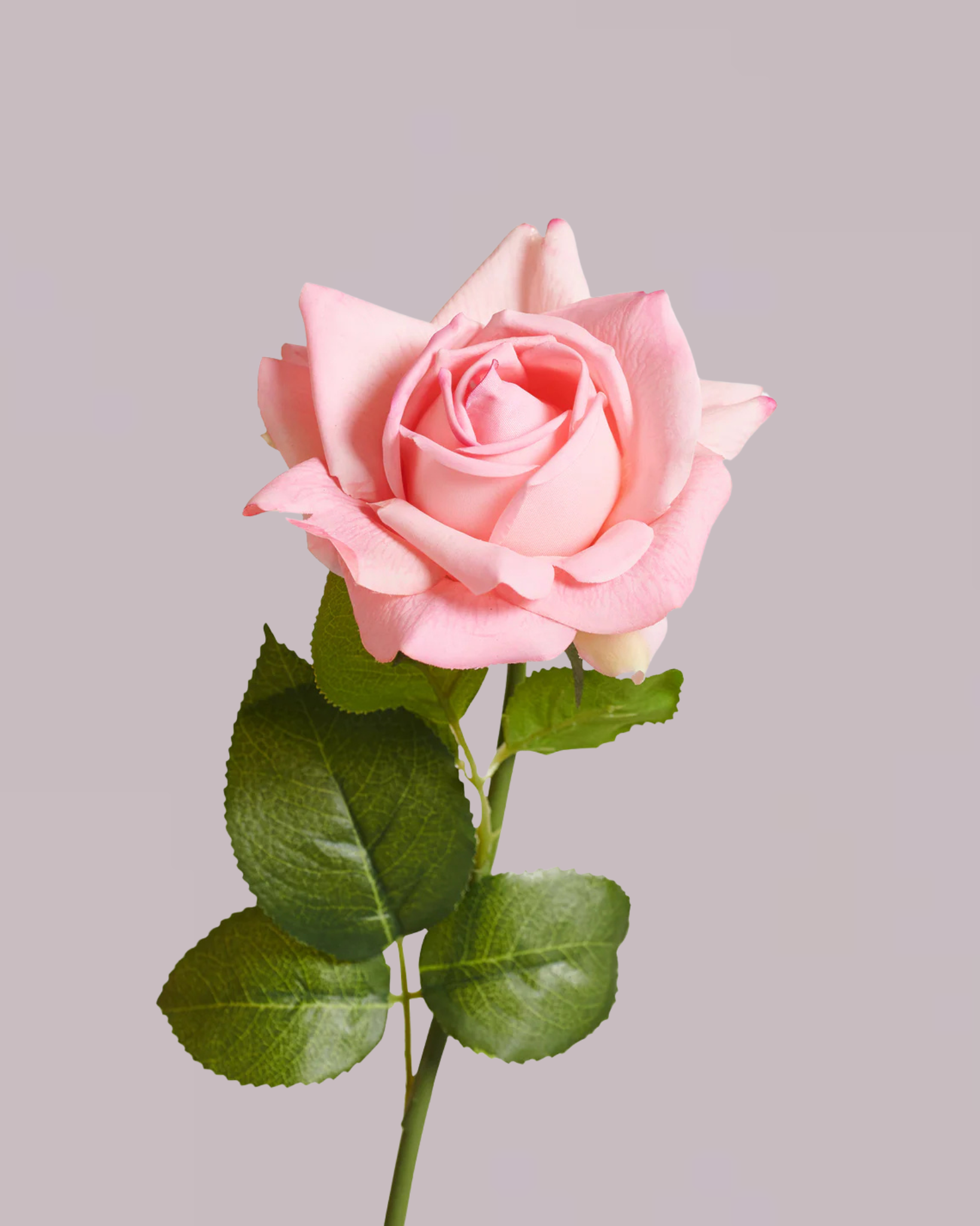 REAL TOUCH ROSE IN PINK