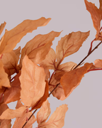 AUTUMNAL LEAF SPRAY IN ORANGE