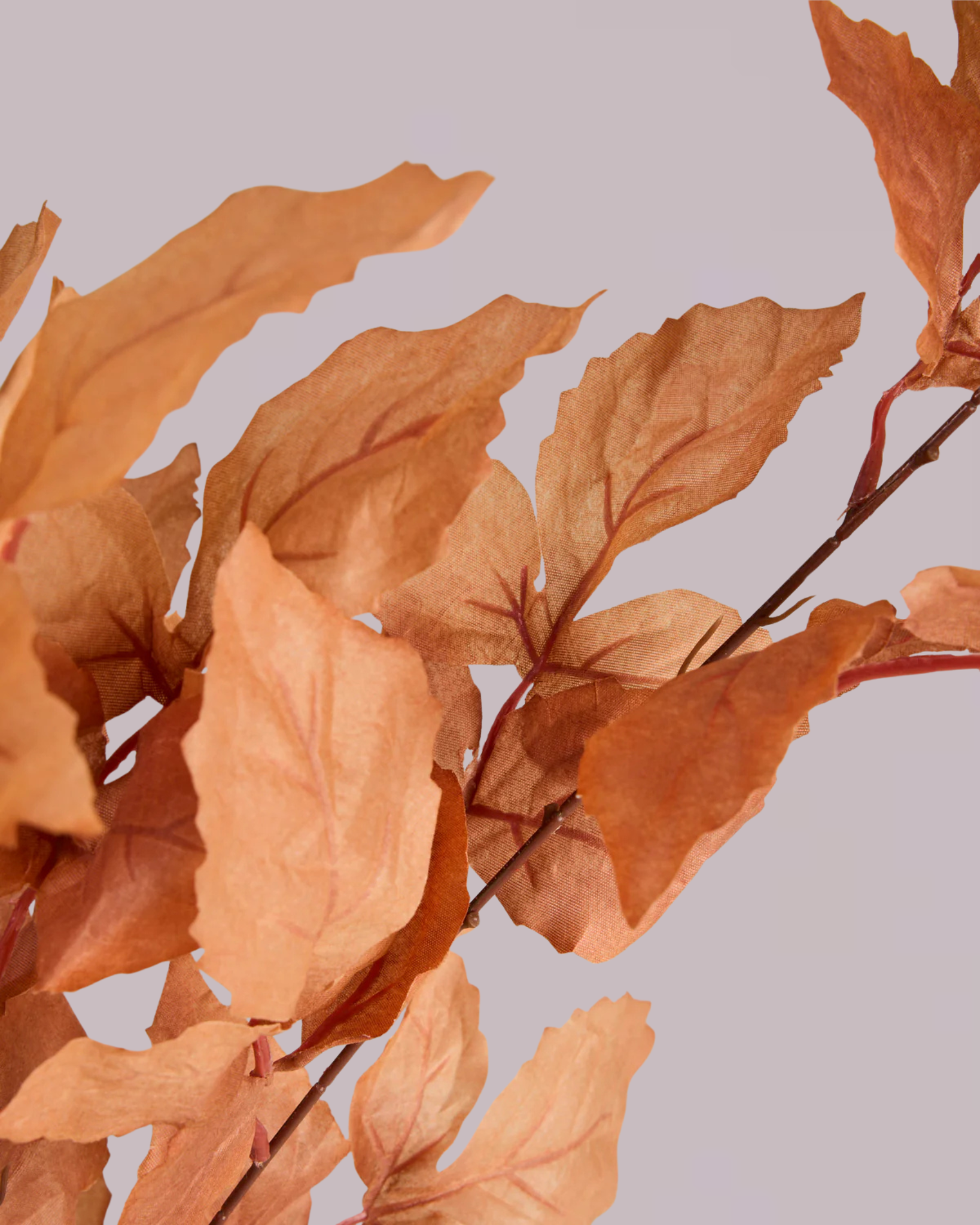 AUTUMNAL LEAF SPRAY IN ORANGE