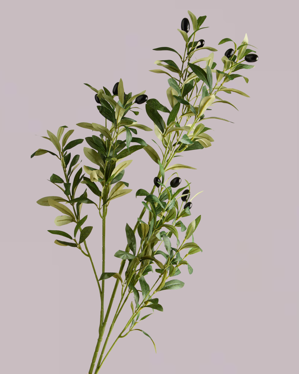 XL OLIVE SPRAY IN GREEN