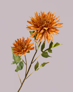 CHRYSANTHEMUM IN BURNT ORANGE