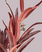 EUCALYPTUS SPRAY IN BURGUNDY