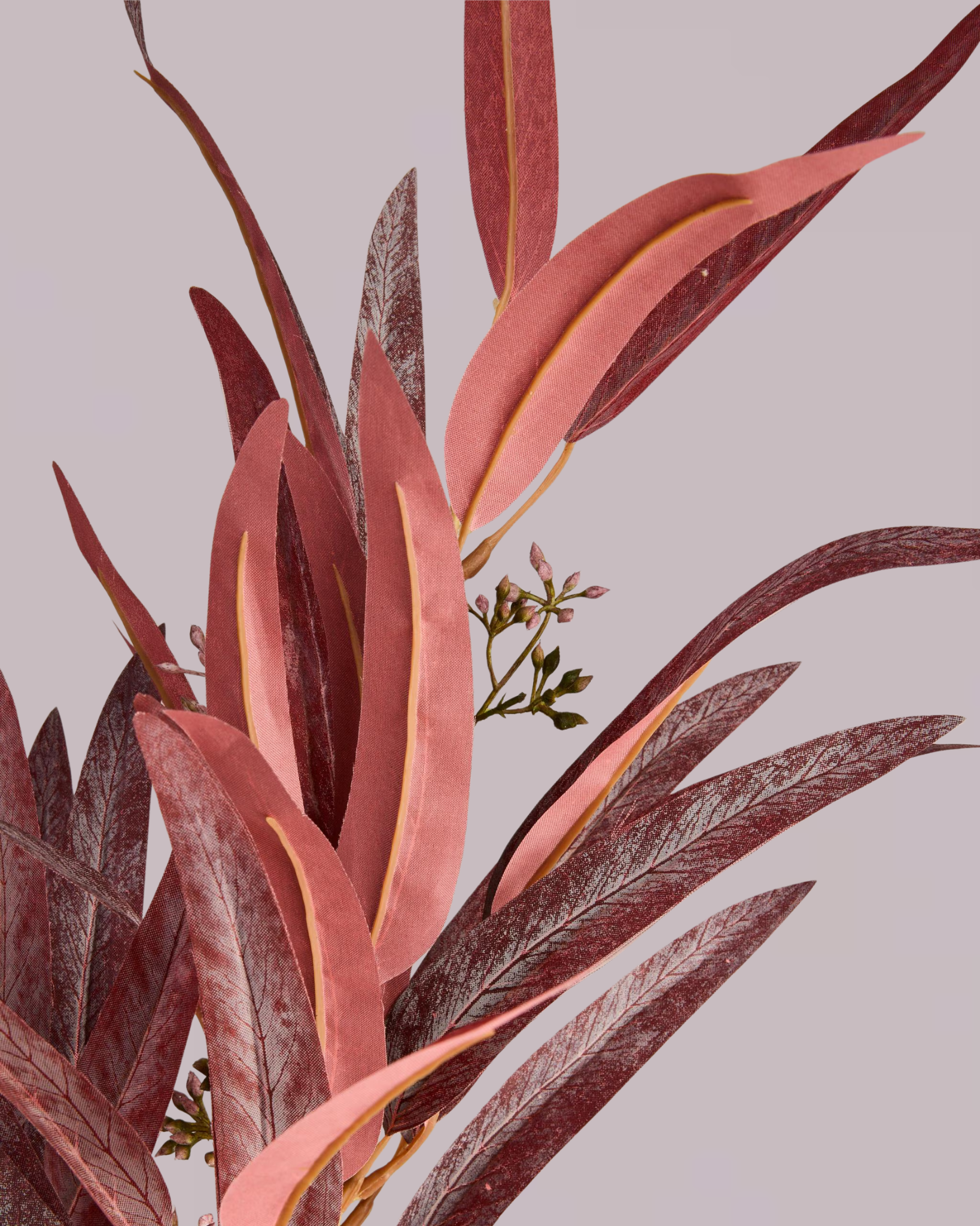 EUCALYPTUS SPRAY IN BURGUNDY