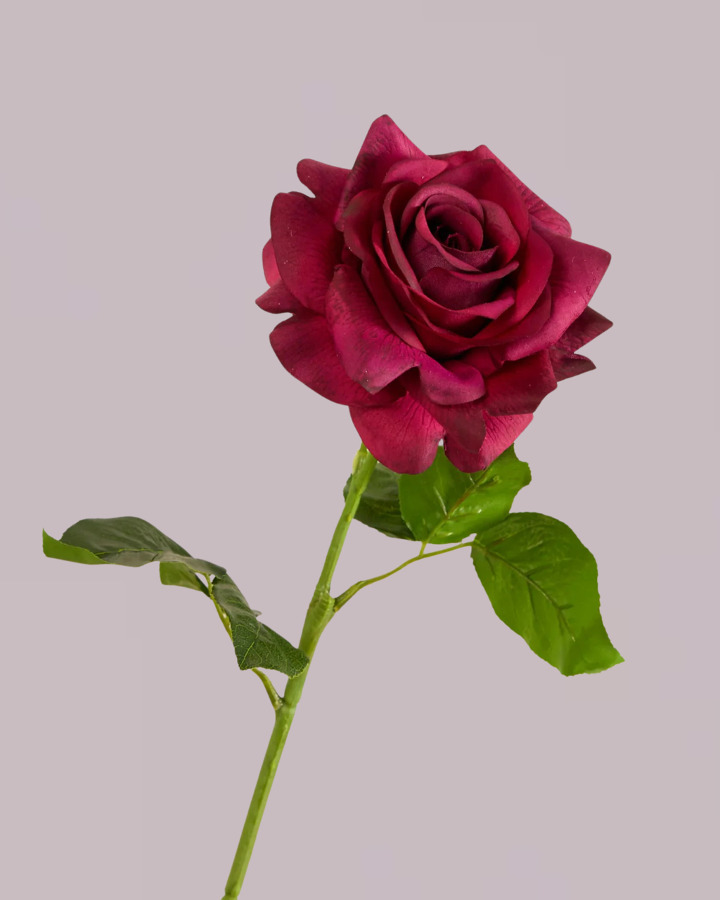REAL TOUCH ROSE IN MERLOT