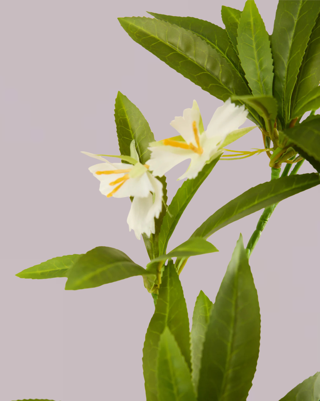 EXOTIC LEAF BRANCH WITH WHITE BLOSSOM