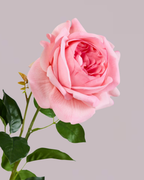 REAL TOUCH PEONY PINK