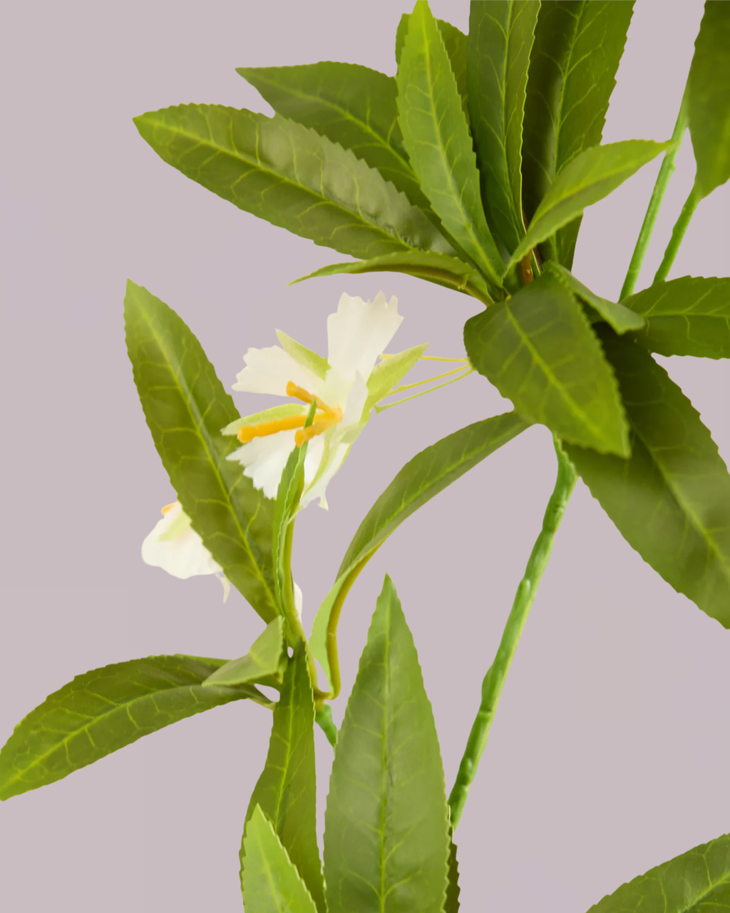 EXOTIC LEAF BRANCH WITH WHITE BLOSSOM