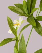 EXOTIC LEAF BRANCH WITH WHITE BLOSSOM