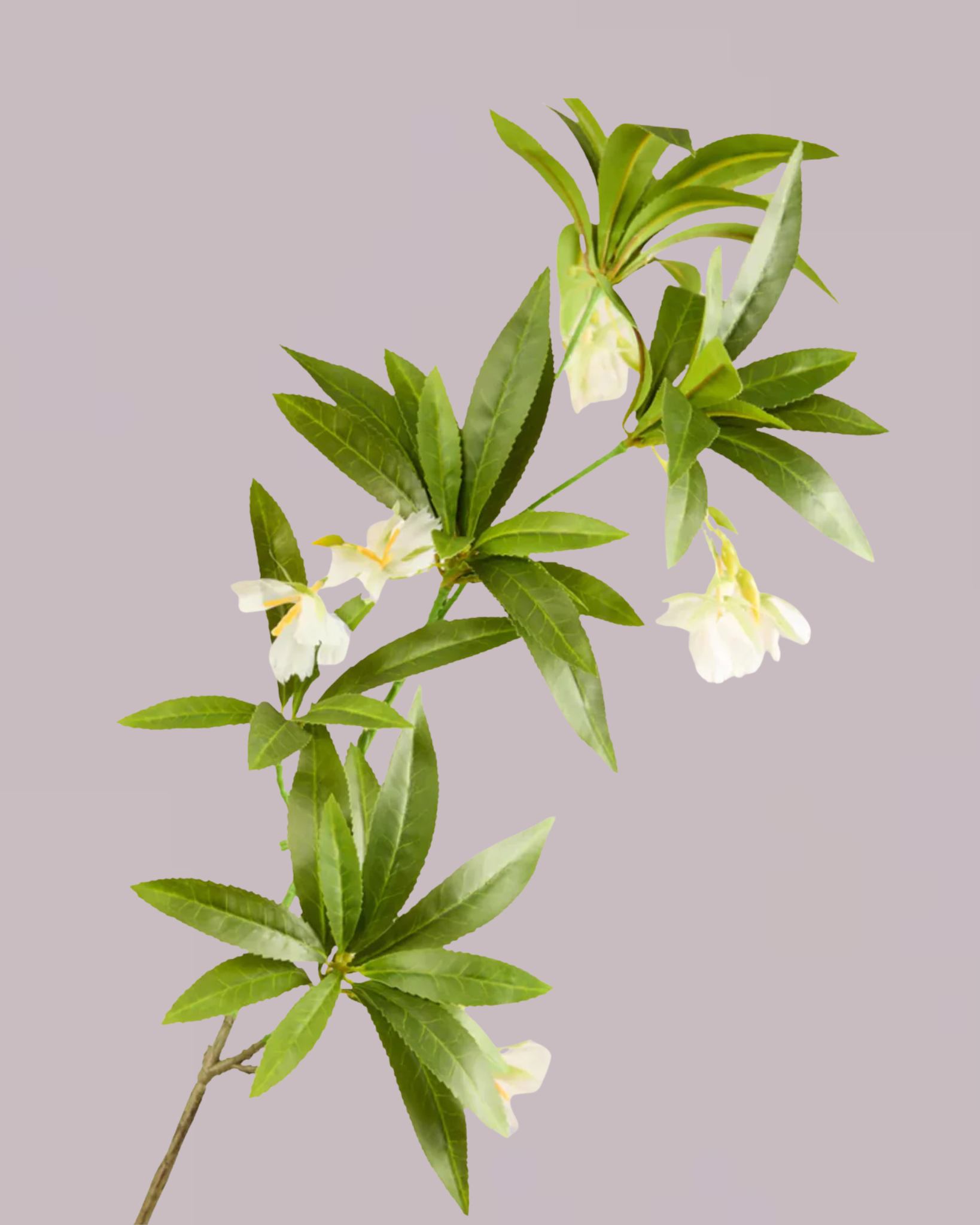 EXOTIC LEAF BRANCH WITH WHITE BLOSSOM