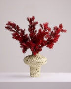 FIERY RED FOLIAGE